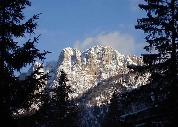 Residence Regina Delle Dolomiti